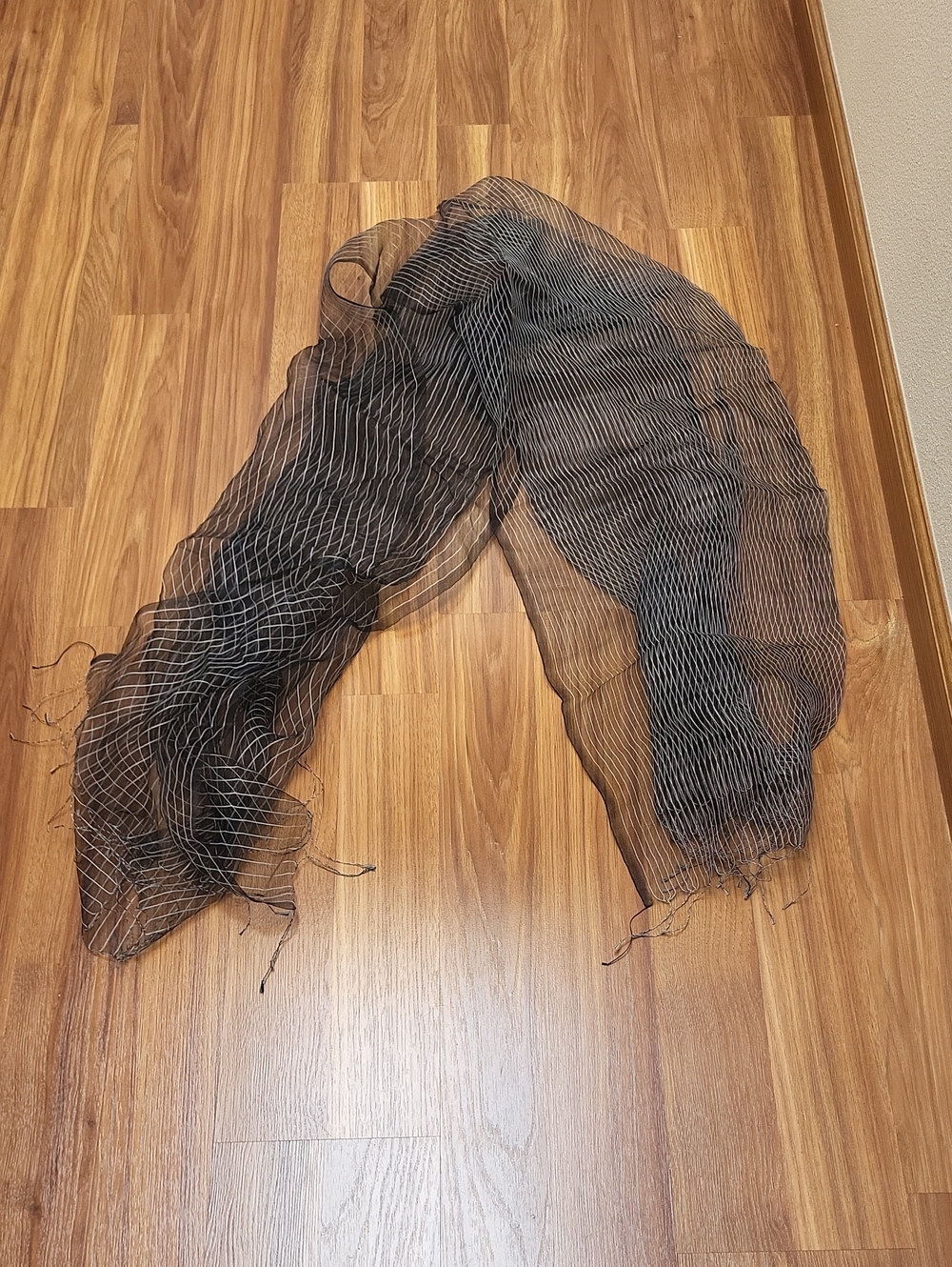 Black Sheer Scarf with Subtle White Pinstripe - Women's Wrap